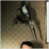 Psicose : foto Gus Van Sant, Vince Vaughn