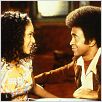O Tigrão : foto Tim Meadows