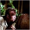 Efeito Colateral : foto Arnold Schwarzenegger