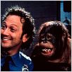 Animal : foto Rob Schneider