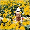 Pinóquio : foto Roberto Benigni