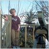 Pequenos Grandes Astros : foto Jonathan Lipnicki