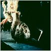 O Enigma do Outro Mundo : foto John Carpenter