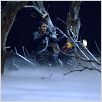 Motoqueiro Fantasma : Foto Mark Steven Johnson, Nicolas Cage