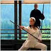 Elektra : foto Terence Stamp
