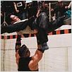 Cão de Briga : foto Jet Li