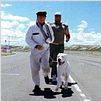 O Cachorro : foto