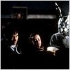 Donnie Darko : foto Jake Gyllenhaal, Jena Malone