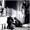 Vontade Indômita : foto Gary Cooper, Patricia Neal