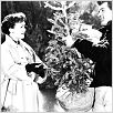 Tudo Que o Céu Permite : foto Jane Wyman, Rock Hudson