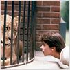 A Marca da Pantera : foto Nastassja Kinski