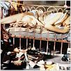 Boneca de Carne : foto Carroll Baker