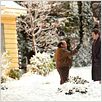 Um Natal Brilhante : foto Danny DeVito, Matthew Broderick