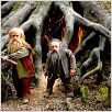 As Crônicas de Nárnia - Príncipe Caspian : foto Peter Dinklage, Warwick Davis