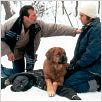 Um Plano Simples : foto Bill Paxton, Billy Bob Thornton