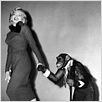 O Inventor da Mocidade : foto Marilyn Monroe