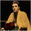 Talhado para Campeão : foto Elvis Presley