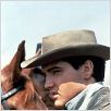 Estrela de Fogo : foto Elvis Presley