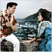 Feitiço Havaiano : foto Elvis Presley