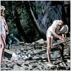 Feitiço Havaiano : foto Elvis Presley