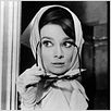 Charada : foto Audrey Hepburn