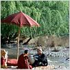 Sete Anos no Tibet : foto Brad Pitt
