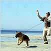 K-9 - Um Policial Bom pra Cachorro : foto James Belushi