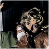 Os Pássaros : foto Tippi Hedren