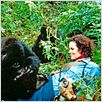 Nas Montanhas dos Gorilas : foto Sigourney Weaver