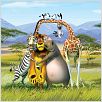 Madagascar 2 : foto Tom McGrath