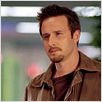 Malditas Aranhas! : foto David Arquette