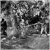 As Aventuras de Robin Hood : foto Errol Flynn