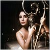 Gata em Teto de Zinco Quente : foto Elizabeth Taylor