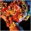 Priscilla, a Rainha do Deserto : foto Terence Stamp