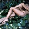 A Lagoa Azul : foto Brooke Shields, Christopher Atkins