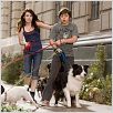 Um Hotel Bom pra Cachorro : foto Emma Roberts, Jake T. Austin