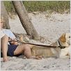 Marley & Eu : foto Owen Wilson