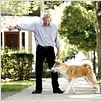 Sempre ao Seu Lado : foto Richard Gere
