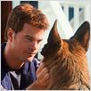 Como Cães e Gatos 2 - A Vingança de Kitty Galore : foto Chris O'Donnell