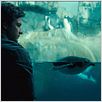 Coincidências do Amor : foto Jason Bateman