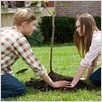 O Primeiro Amor : foto Madeline Carroll