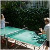 Um Lugar Qualquer : foto Elle Fanning, Stephen Dorff