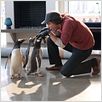 Os Pinguins do Papai : foto Jim Carrey