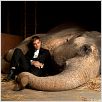 Água para Elefantes : foto Robert Pattinson