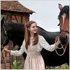 Cavalo de Guerra : foto