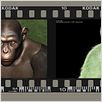 Planeta dos Macacos - A Origem : foto Andy Serkis