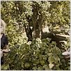 Melancolia : foto Charlotte Gainsbourg, Kirsten Dunst, Lars von Trier