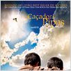 O Caçador de Pipas : poster