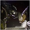 Alien vs. Predador 2 : foto