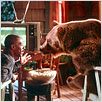 Dr. Dolittle 2 : foto